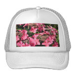 Hydrangea. Pink Flowers. Hat