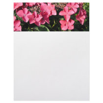 Hydrangea. Pink Flowers. Letterhead