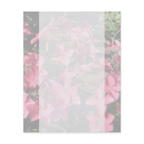 Hydrangea. Pink flowers. Soft Pastel Colors. Flyer