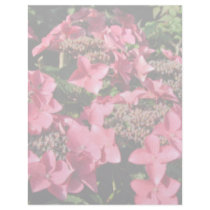 Hydrangea. Pink flowers. Soft Pastel Colors. Customized Letterhead