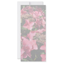 Hydrangea. Pink flowers. Soft Pastel Colors. Custom Rack Card
