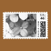 hydrangea postage