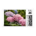 Hydrangea postage