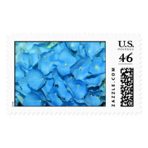 Hydrangea postage