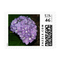 Hydrangea postage by princessklb07 Hydrangea postage