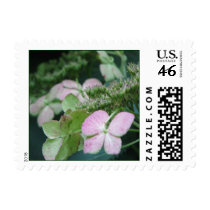 Hydrangea postage by iiiyaaa Hydrangea postage