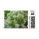 hydrangea postage by iiiyaaa hydrangea postage