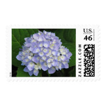 Hydrangea postage by princessklb07 Hydrangea postage