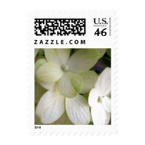 Hydrangea postage by iiiyaaa Hydrangea postage