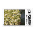 hydrangea postage