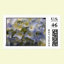 Hydrangea postage