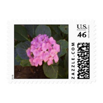 Hydrangea postage by RoseFleurDesigns Hydrangea postage