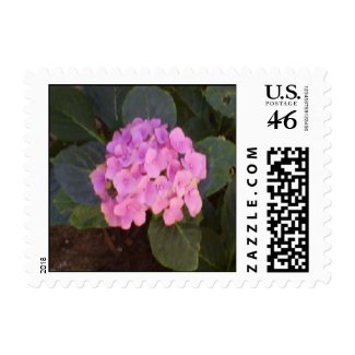 Hydrangea stamp