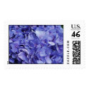 Hydrangea postage