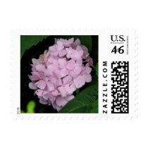 Hydrangea postage by princessklb07 Hydrangea postage