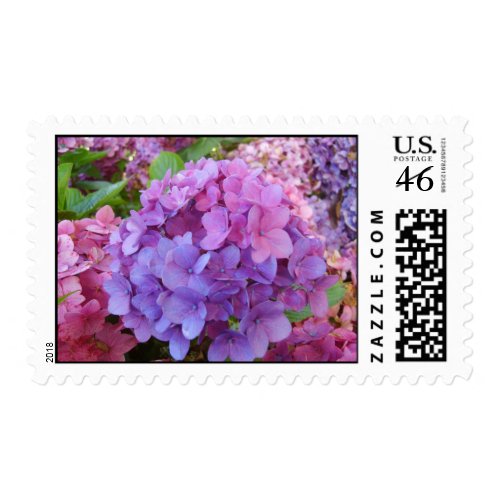 Hydrangea stamp
