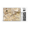 hydrangea postage by amosopus hydrangea postage
