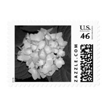 Hydrangea postage by princessklb07 Hydrangea postage