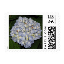 Hydrangea postage by princessklb07 Hydrangea postage
