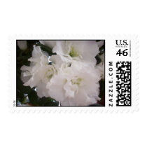 Hydrangea postage by myMAJiKworld Hydrangea postage
