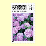 Hydrangea Postage stamps
