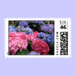 Hydrangea postage stamp stamps