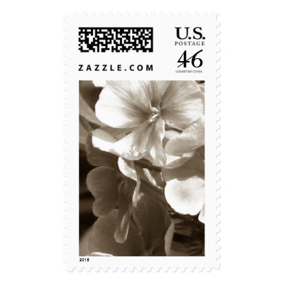 hydrangea postage stamp