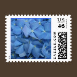 Hydrangea Postage Stamp stamps