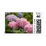 Hydrangea Postage Stamp