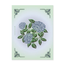 Hydrangea Postcard by Rockangel1 Hydrangea Postcard