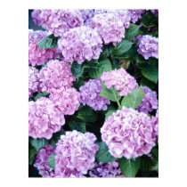 Hydrangea Poster posters by naturetees Hydrangea Poster posters