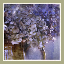 Hydrangea posters