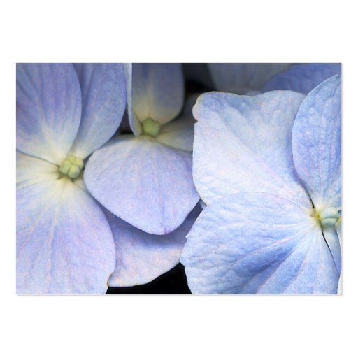 Hydrangea Reflection Business Card2 - Customized (front side)