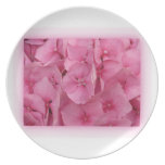 Hydrangea rosado platos
