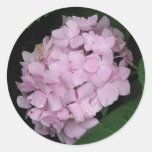 Hydrangea Round Stickers