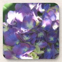 Hydrangea  Set of Coasters