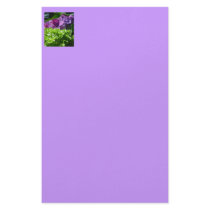 Hydrangea stationery by Cosmotose Hydrangea stationery