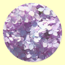 Hydrangea stickers
