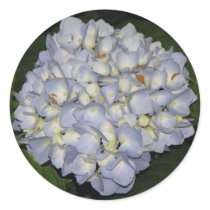 Hydrangea stickers by princessklb07 Hydrangea stickers