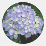 Hydrangea Stickers