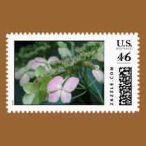 hydrangea variety postage
