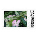 hydrangea variety postage by iiiyaaa hydrangea variety postage