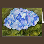 Hydrangea Watercolor Card cards