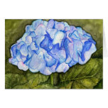 Hydrangea Watercolor Card