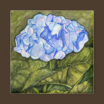 Hydrangea Watercolor Magnet magnets