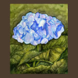 Hydrangea Watercolor Print