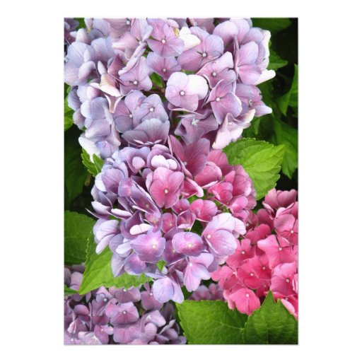 Hydrangea Wedding Invitation