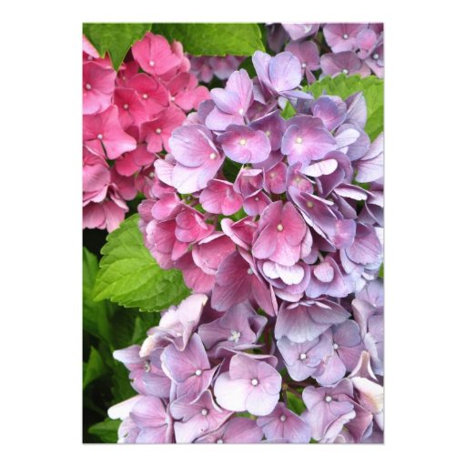 Hydrangea Wedding Invitation