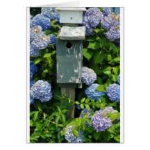 Hydrangeas and Bird Houses Cards