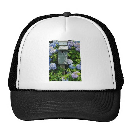Hydrangeas and Bird Houses Hats